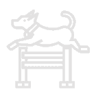 pet sitting training